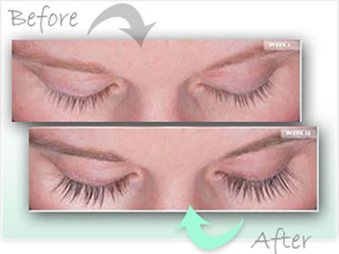 eyelashes.jpg
